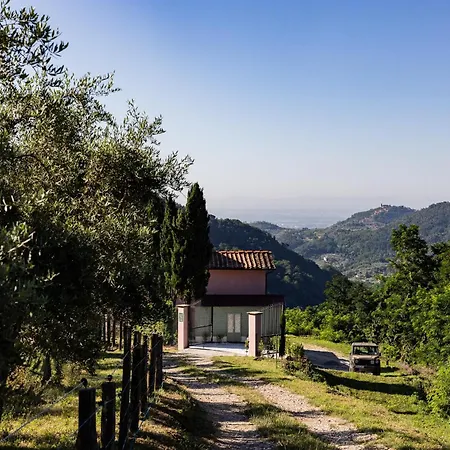 La Selva Villa Marliana