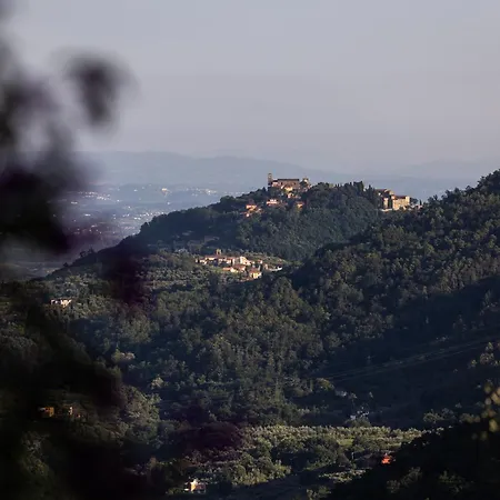 La Selva Villa Marliana