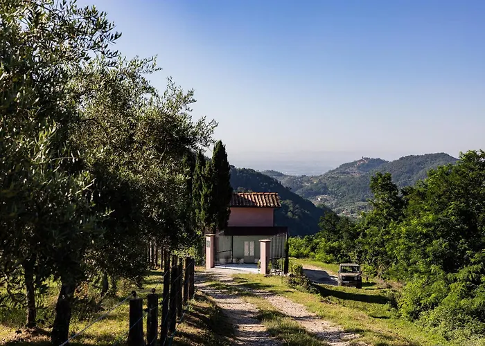 La Selva Villa Marliana