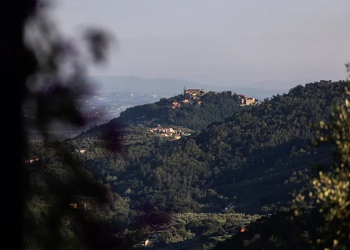 La Selva Villa Marliana