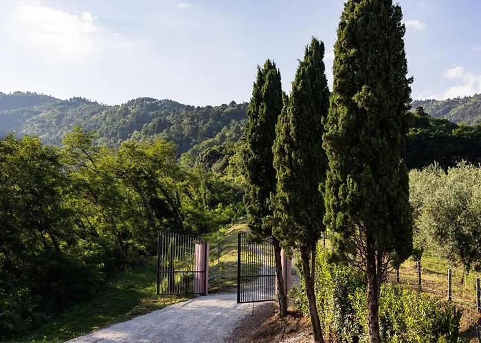 La Selva Villa Marliana